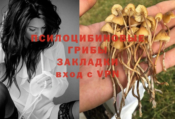 круглые Алексеевка
